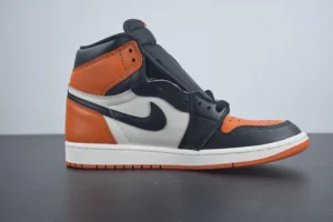 AIR JORDAN 1, "DG" - "555088-113"