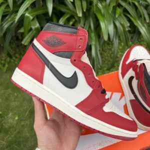 AIR JORDAN 1, "DG" - "DZ5485-612"aj1