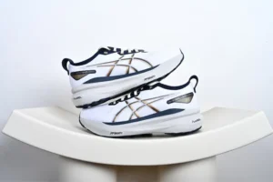 TM Batch Asics GEL-Kayano31, "TM" - "1011B995-100"