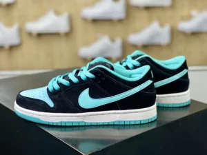NEW VT Batch DUNK, "NEWVT" - "304292-030"DUNK