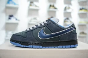NEW VT Batch DUNK, "NEWVT" - "313170-342"DUNK