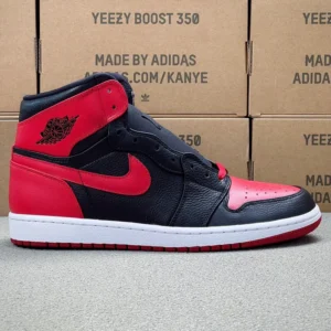 AIR JORDAN 1, "DG" - "432001-001"