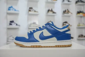 NEW VT Batch DUNK, "NEWVT" - "FB7173-141"DUNK