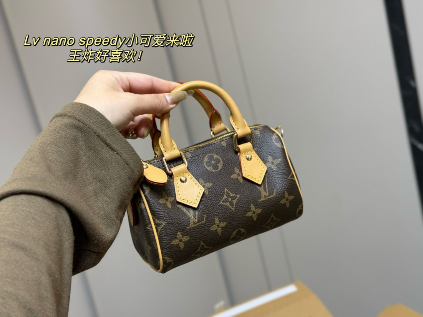 LV BAG