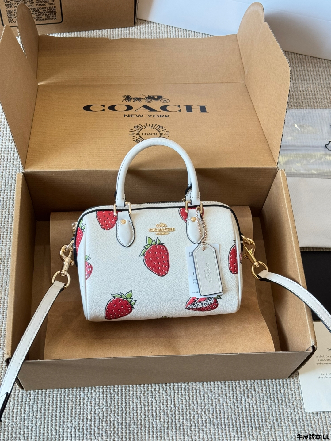 COACH BAG