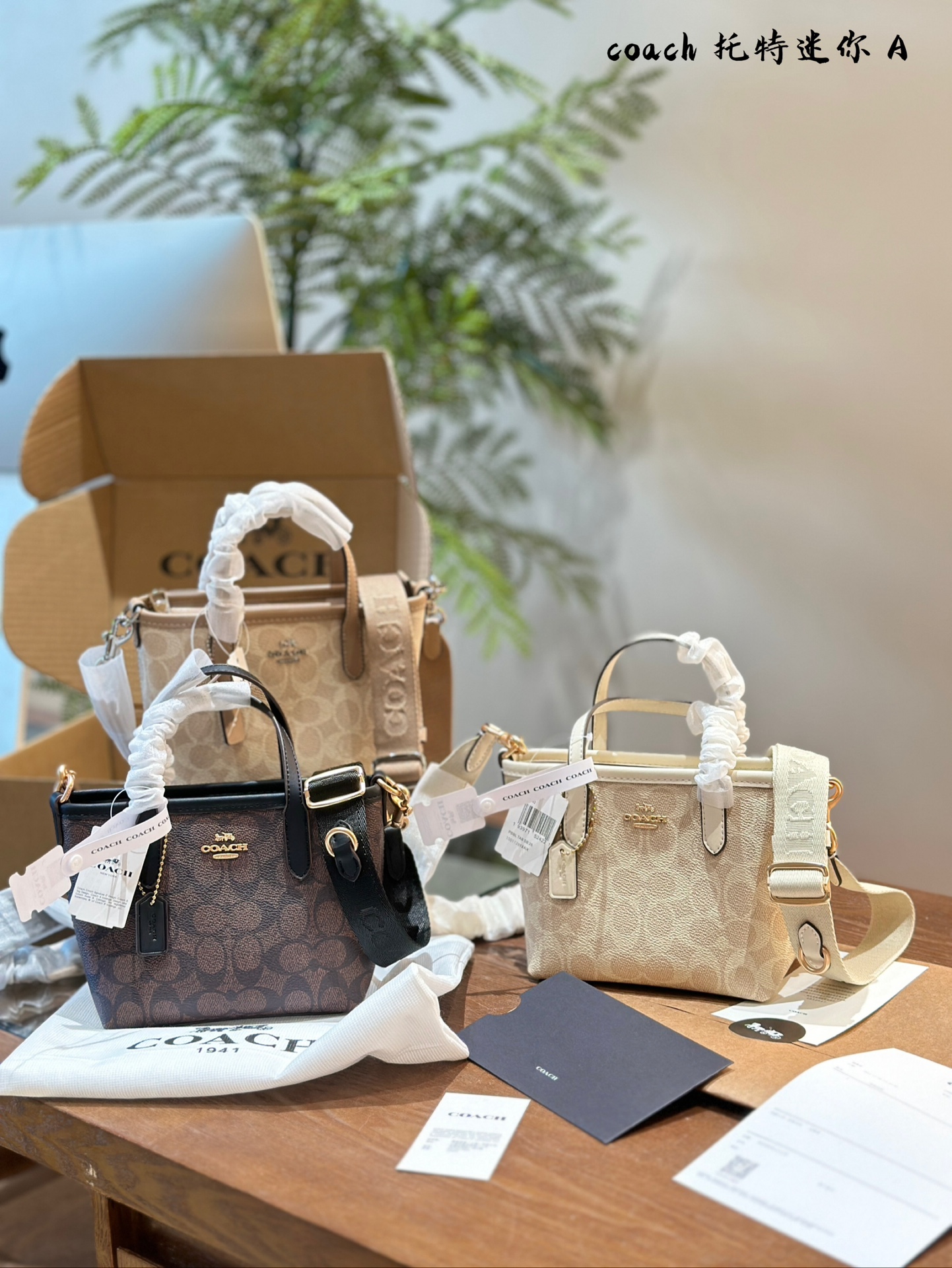 COACH BAG