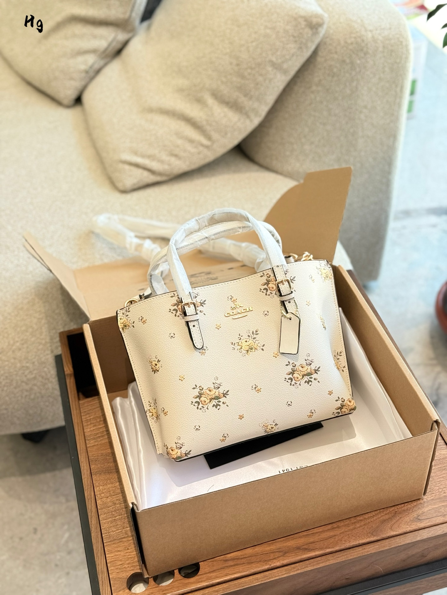 COACH BAG