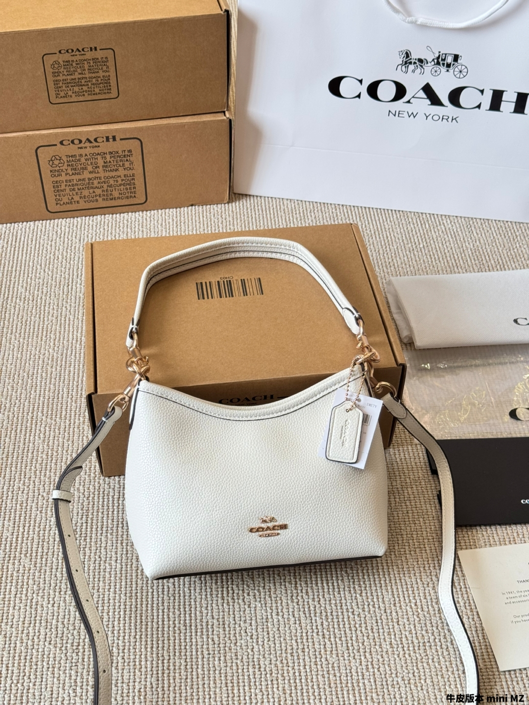 COACH BAG