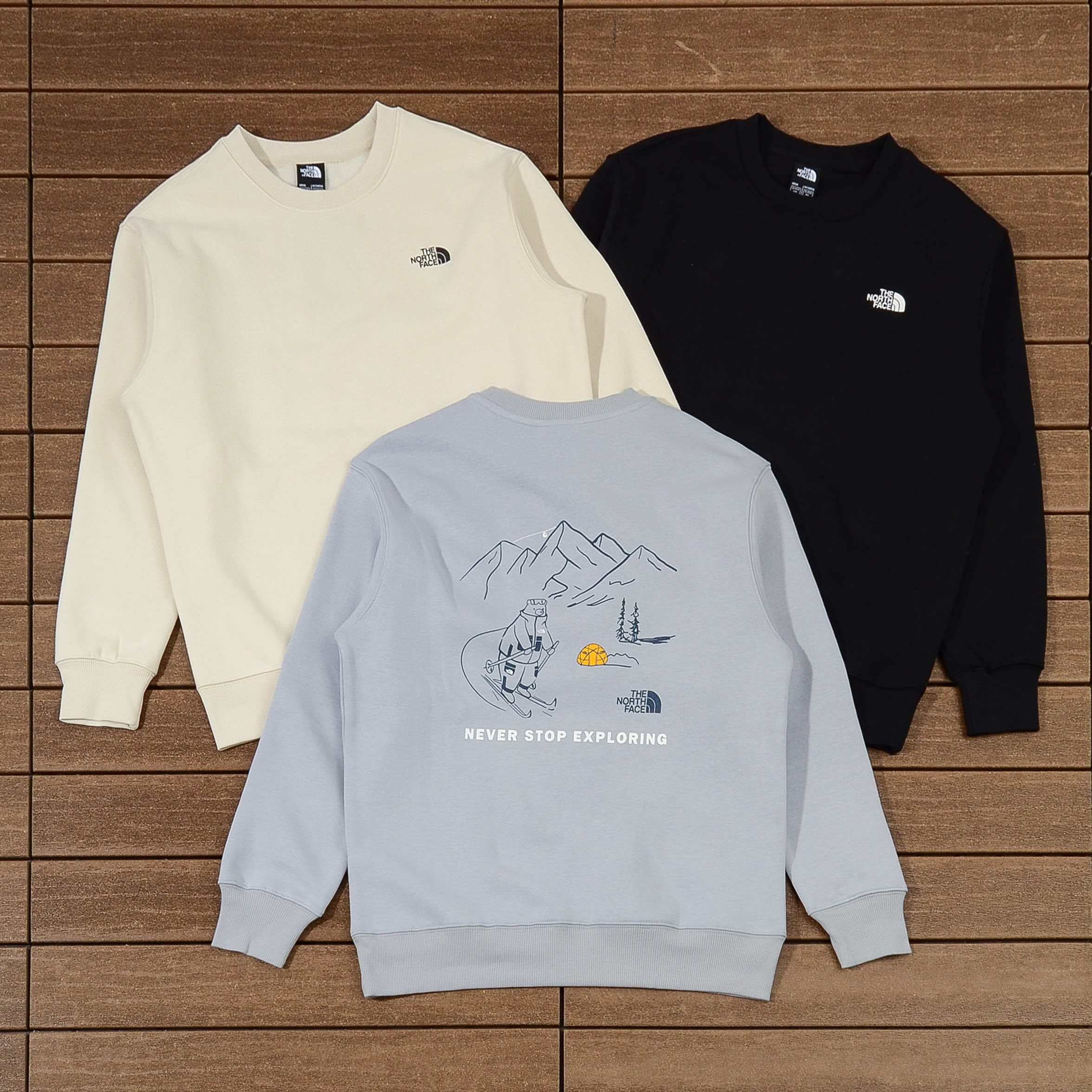 THE NORTH FACE SWEATER