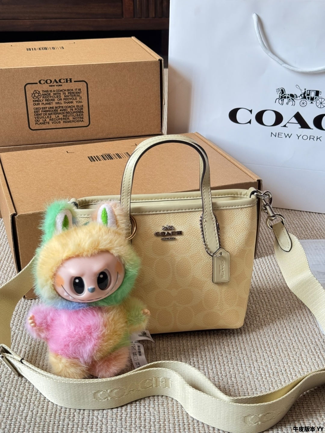 COACH BAG