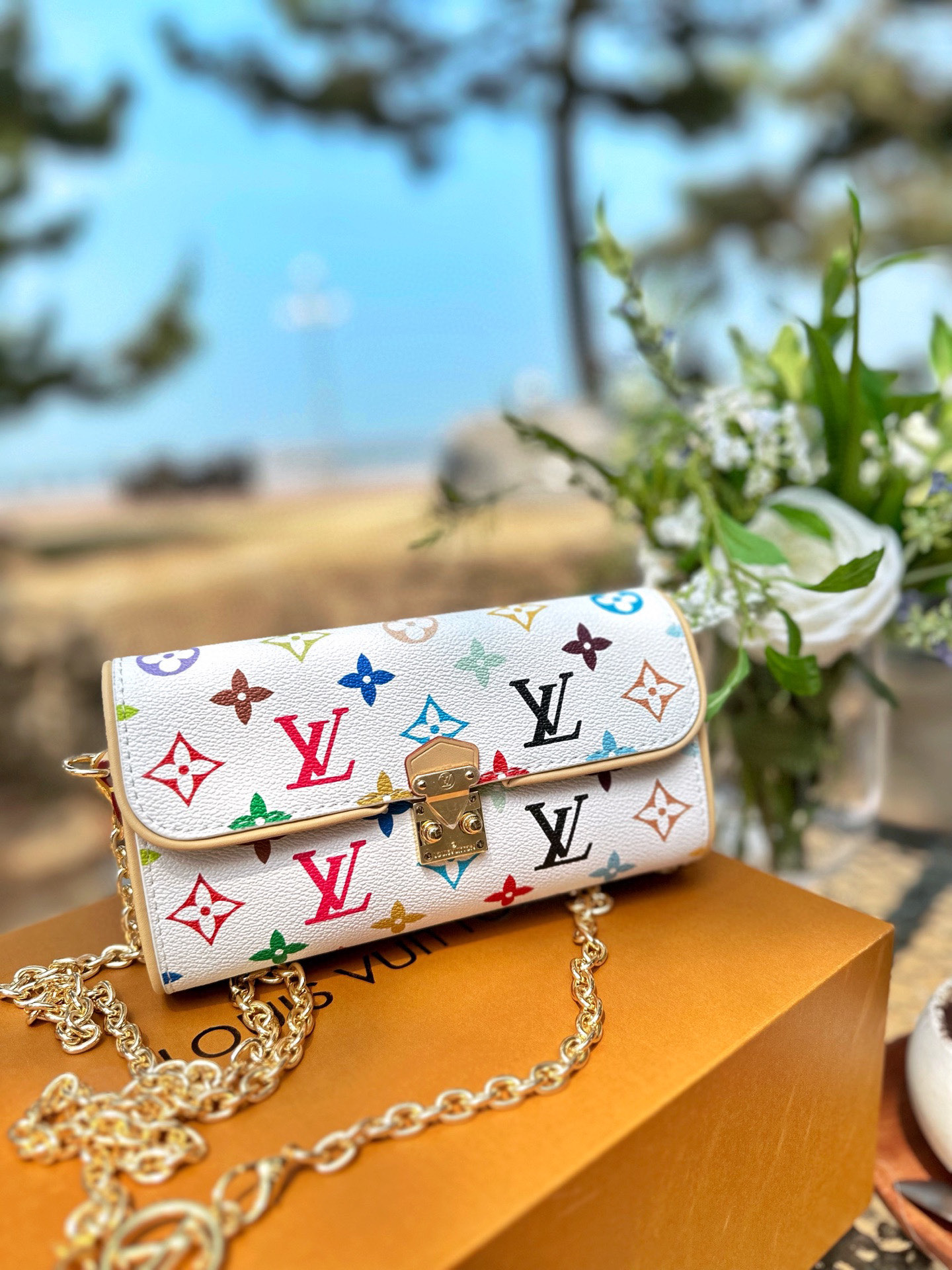 LV BAG