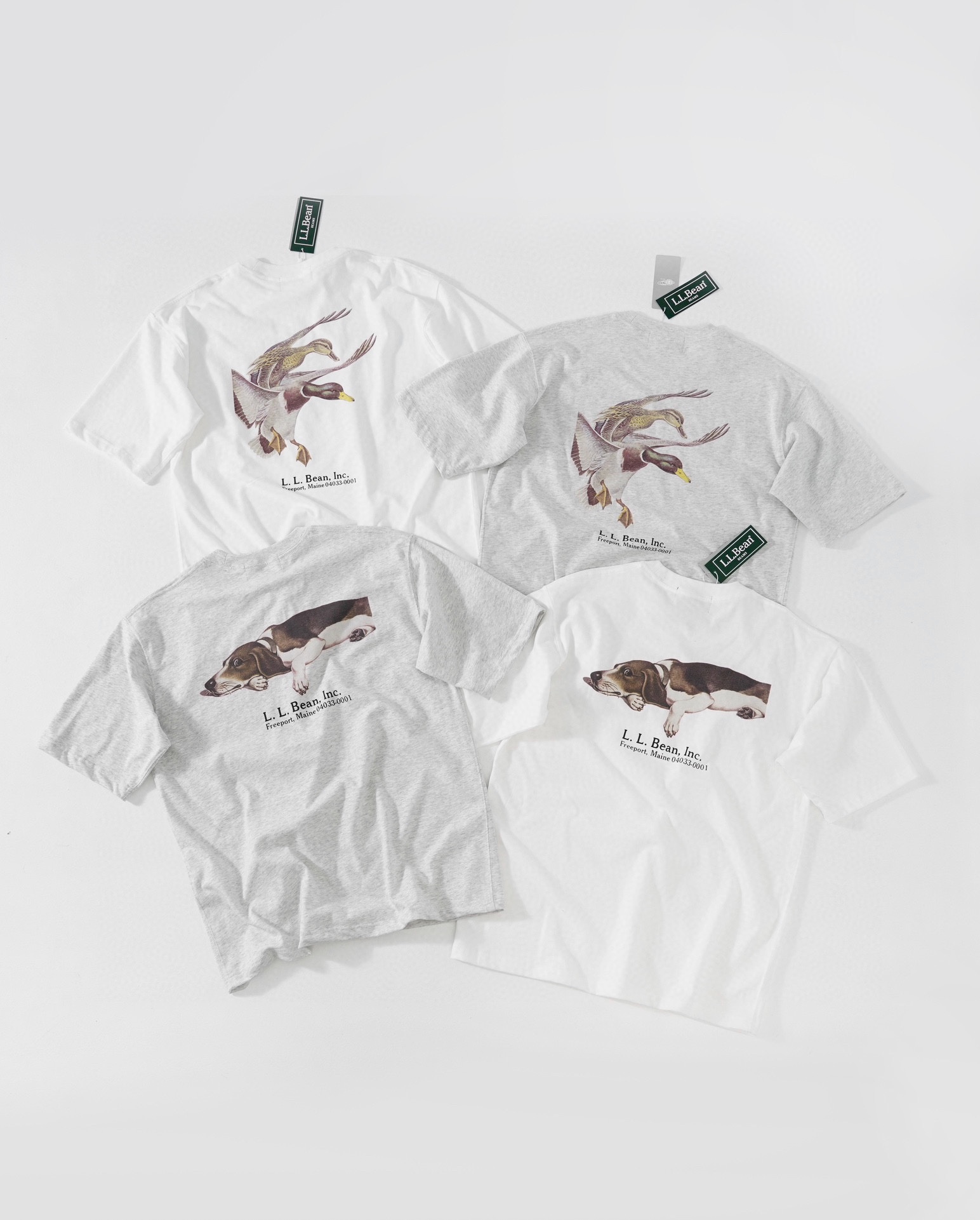 L.L.BEAN & BEAMS T-SHIRT