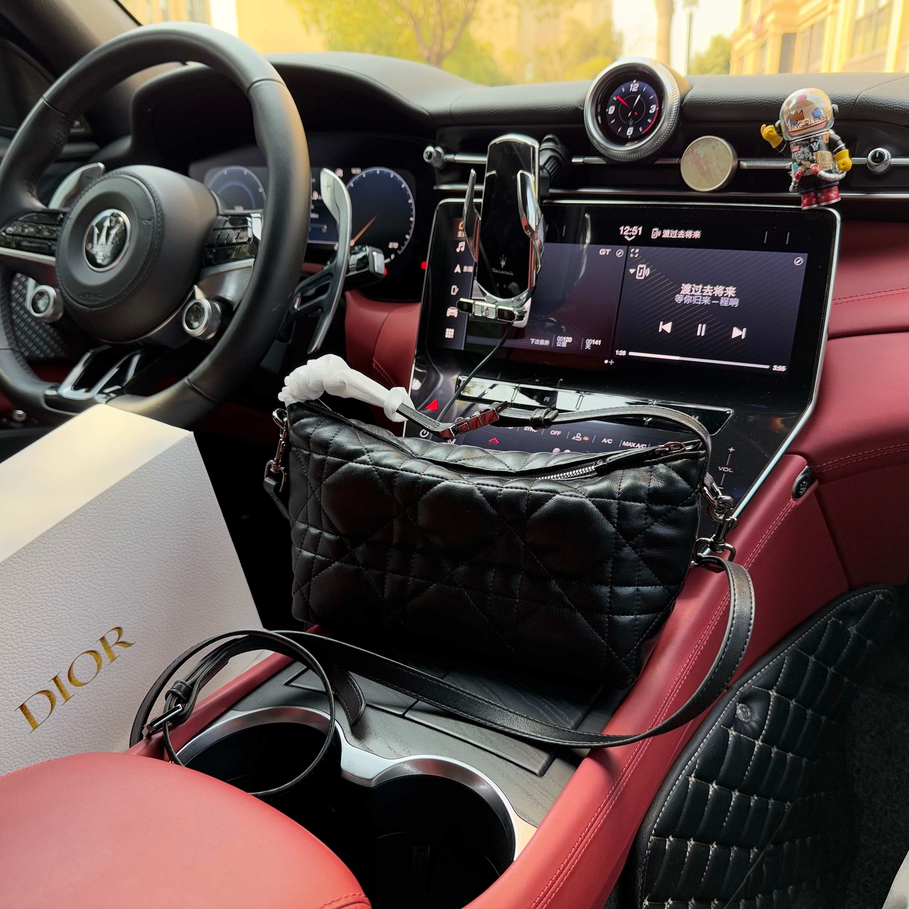 DIOR BAG