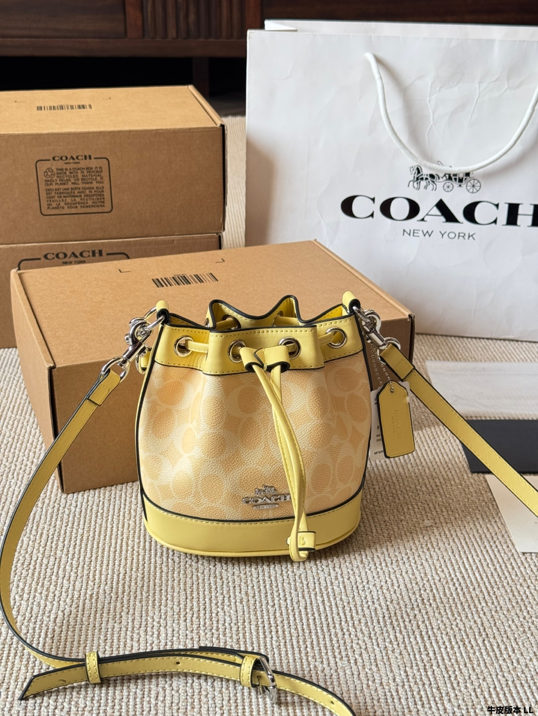 COACH BAG