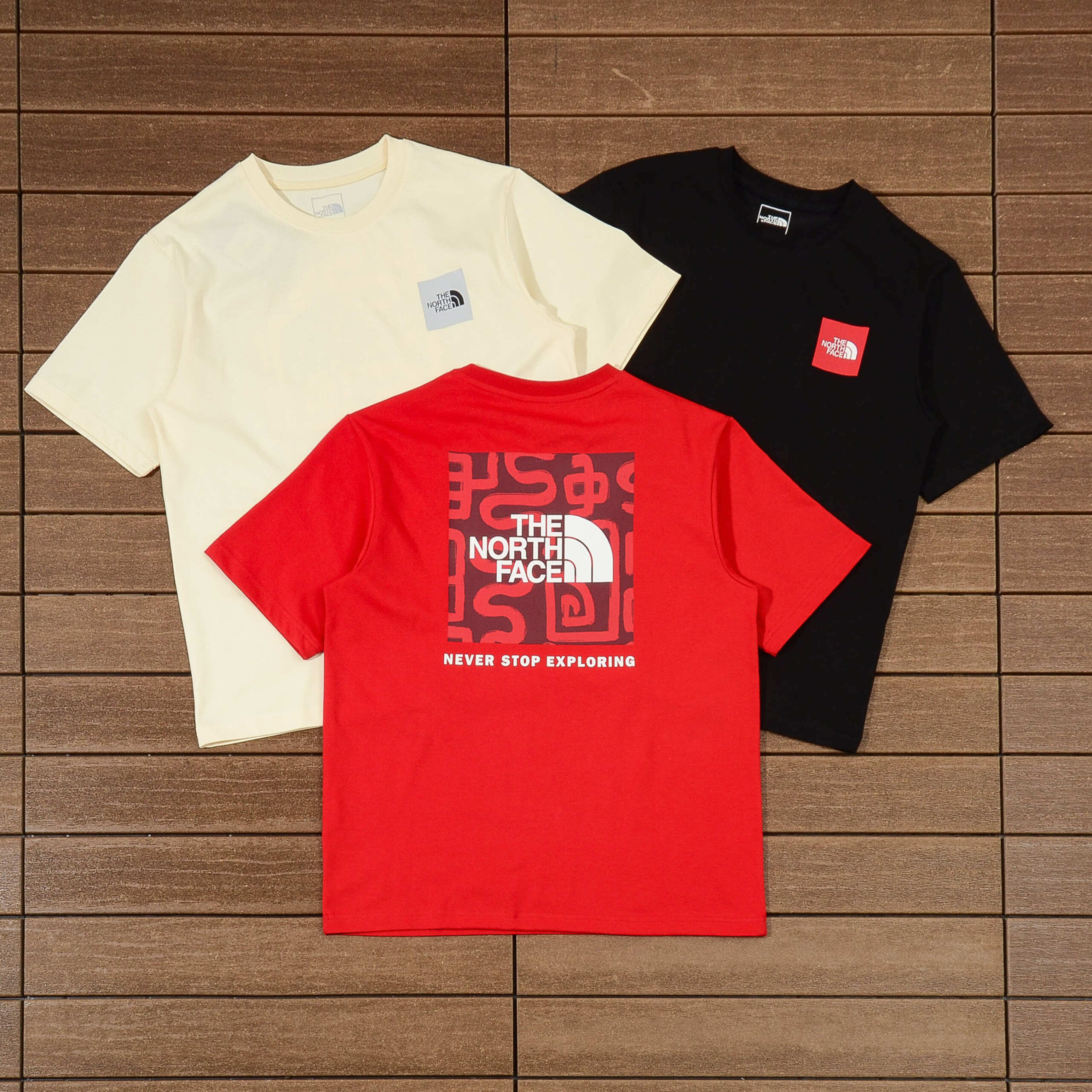 THE NORTH FACE T-SHIRT