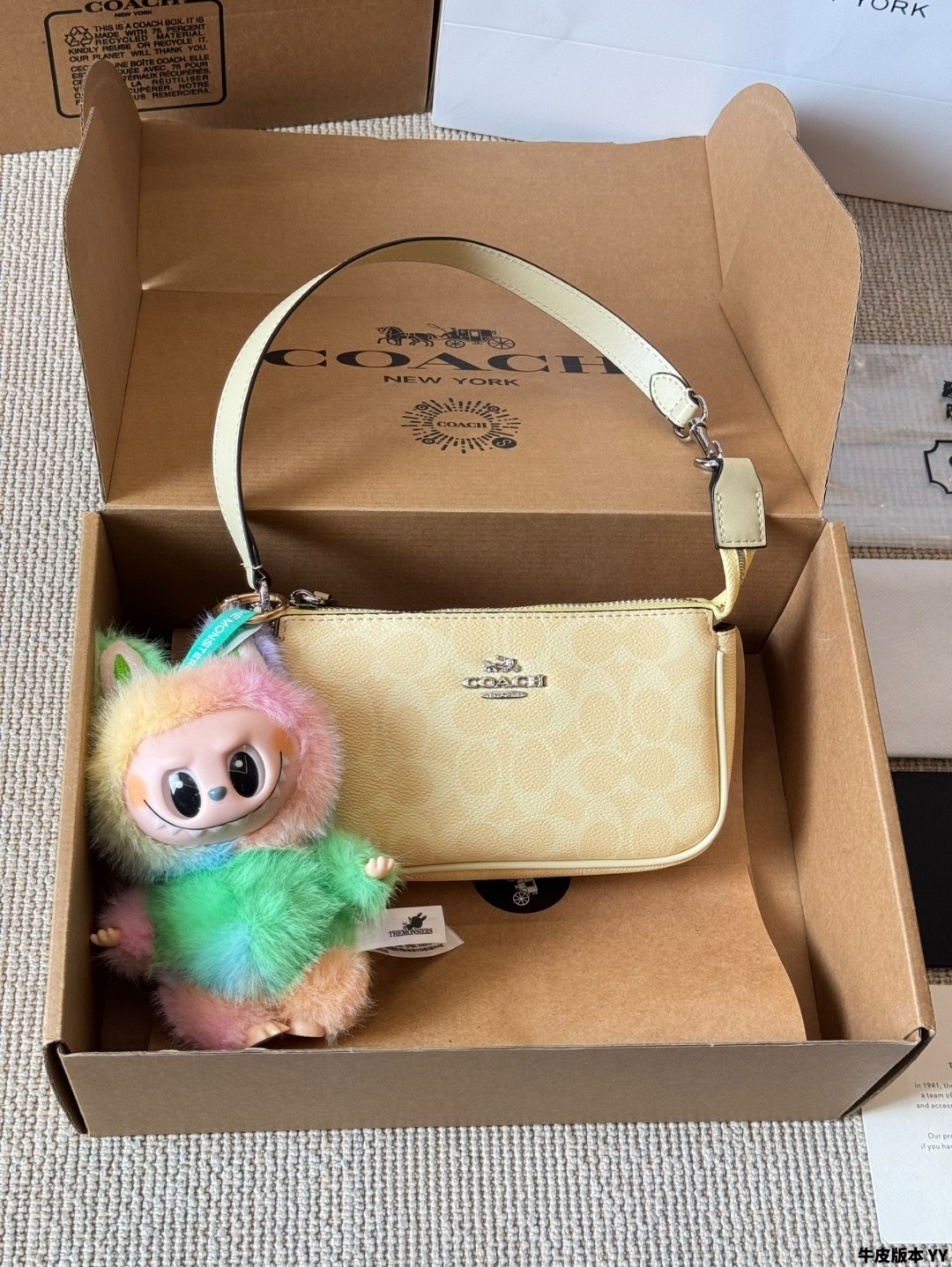 COACH BAG