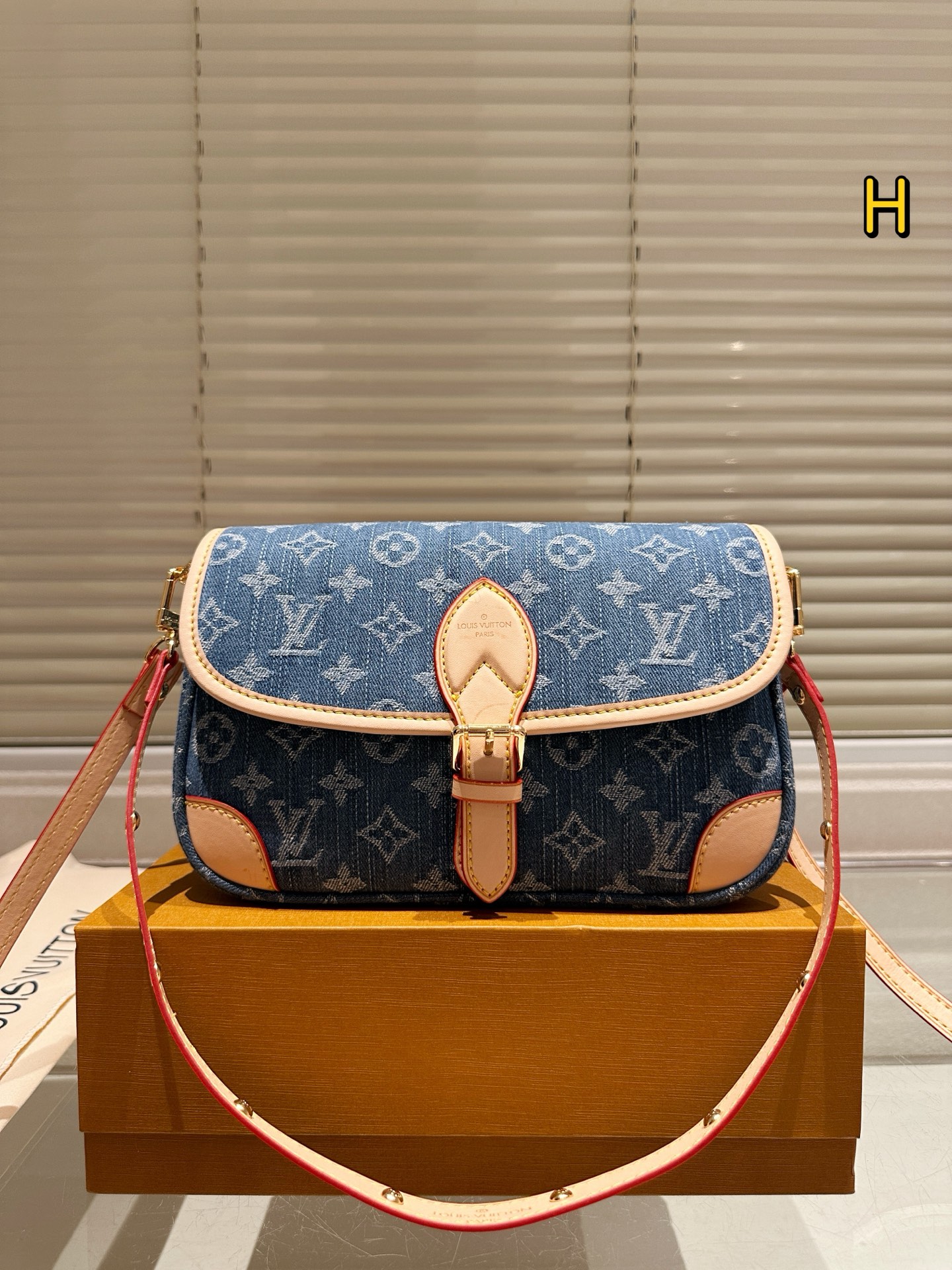 LV BAG