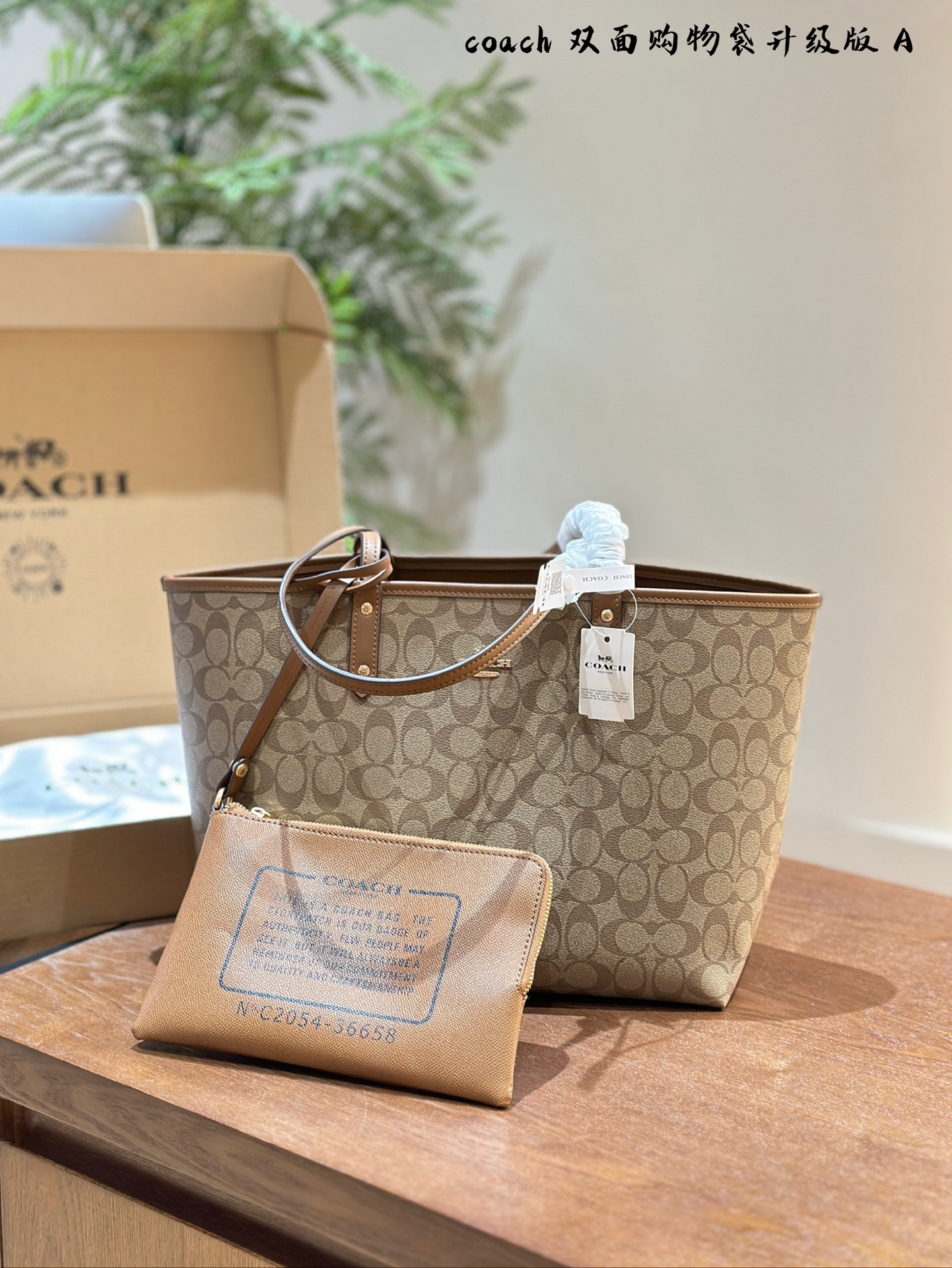 COACH BAG