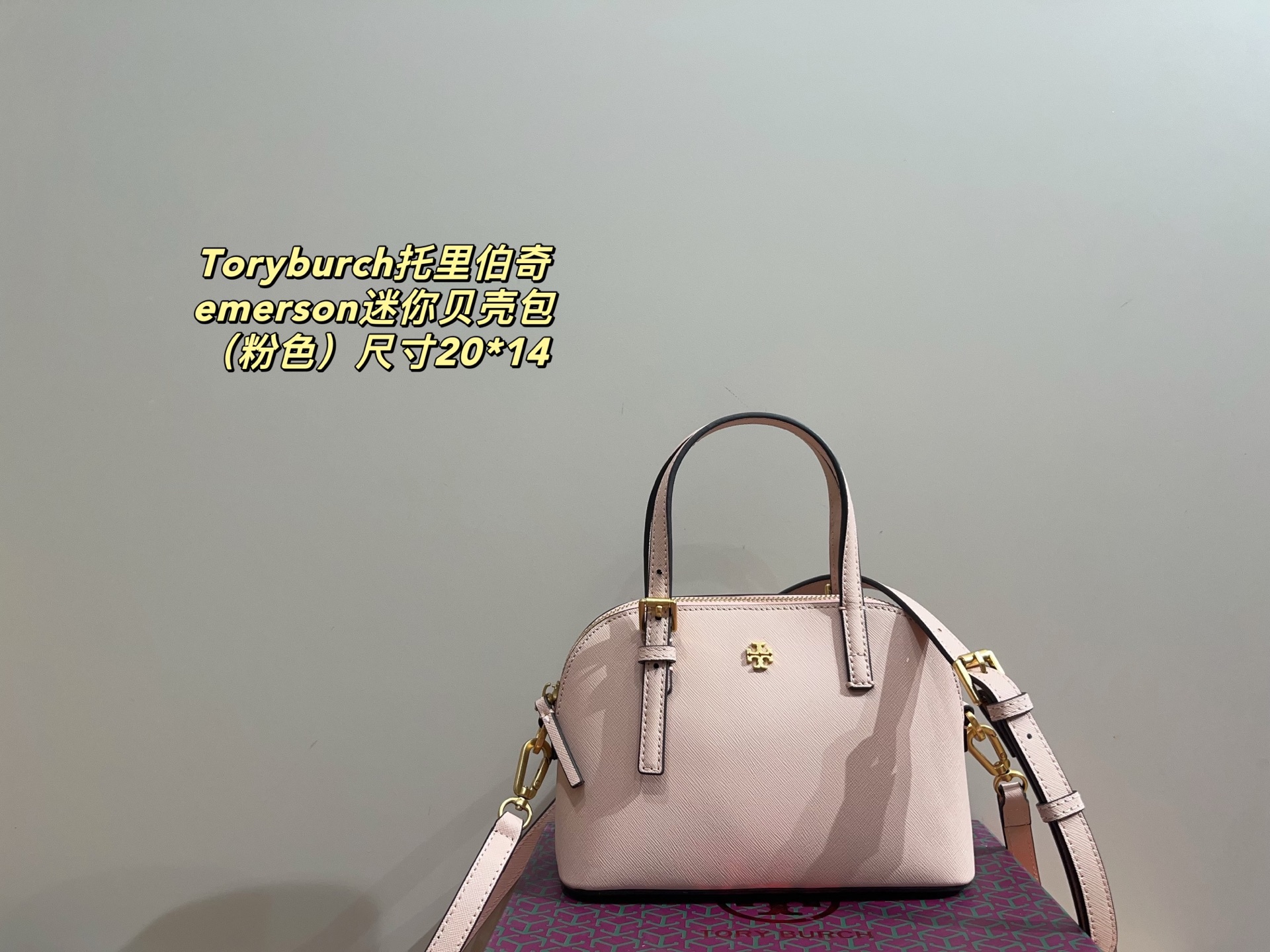 TORY BURCH BAG