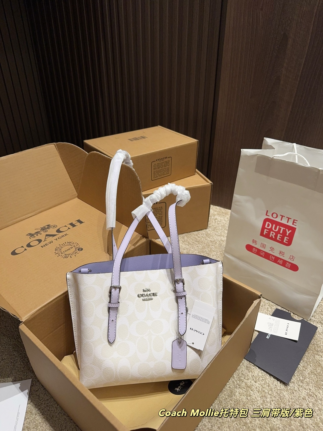 COACH BAG