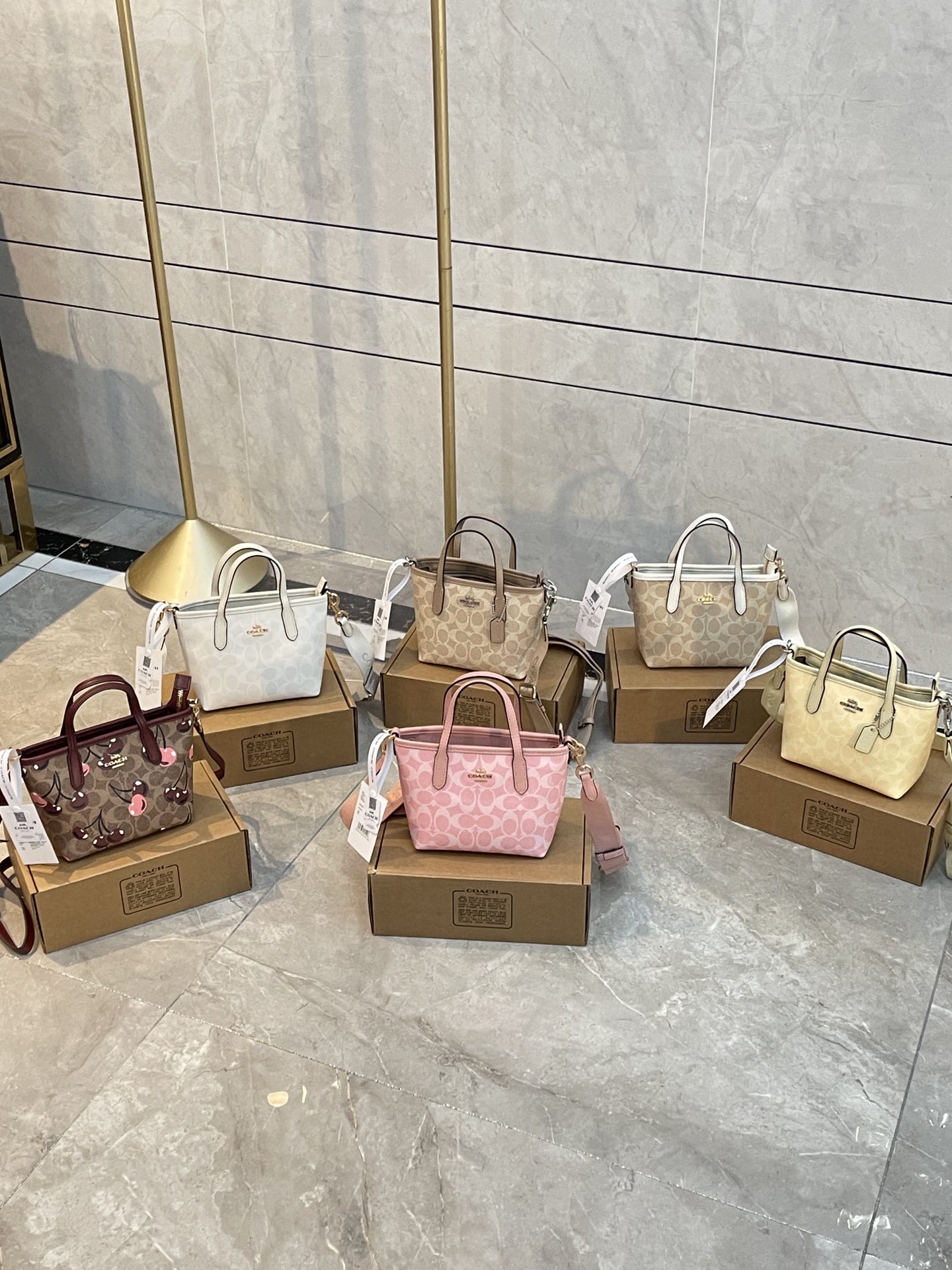 COACH BAG