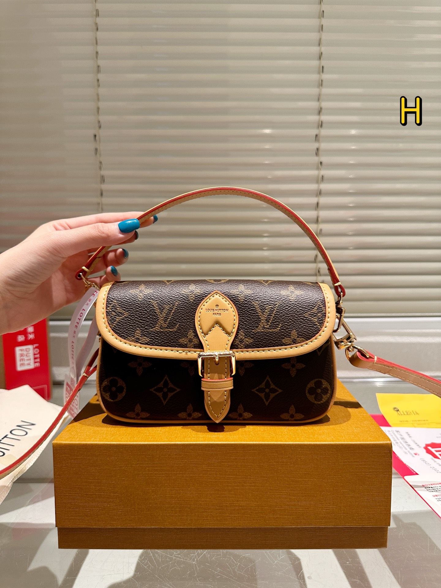 LV BAG