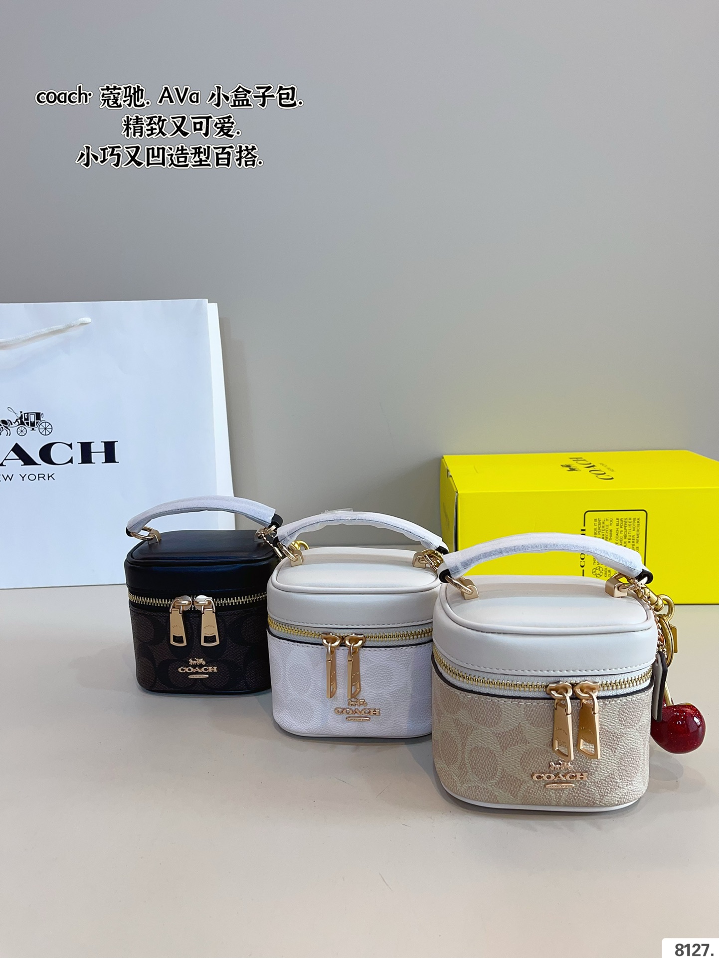 COACH BAG