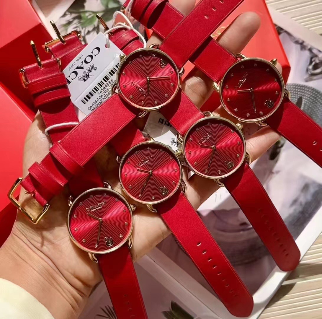COACH WATCH