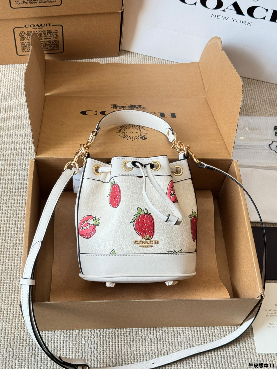 COACH BAG