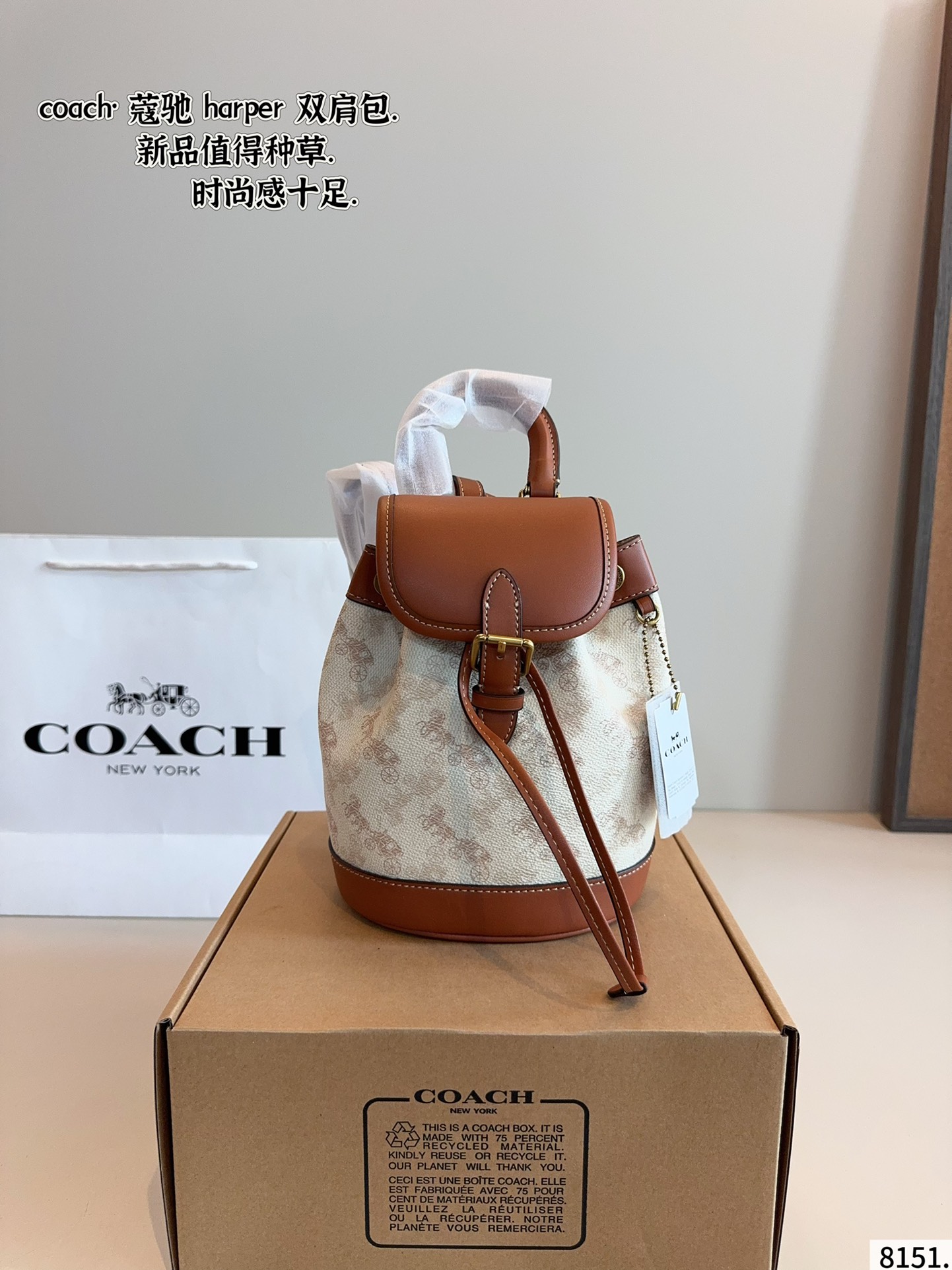 COACH BAG