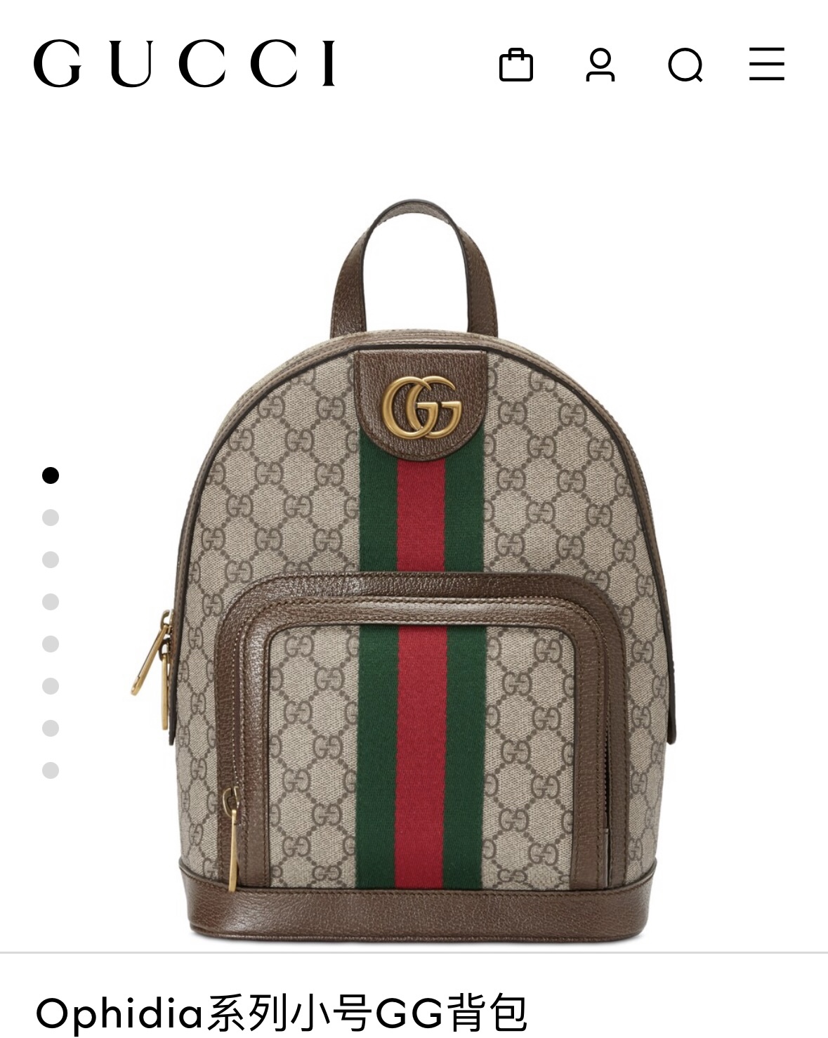 GUCCI BAG