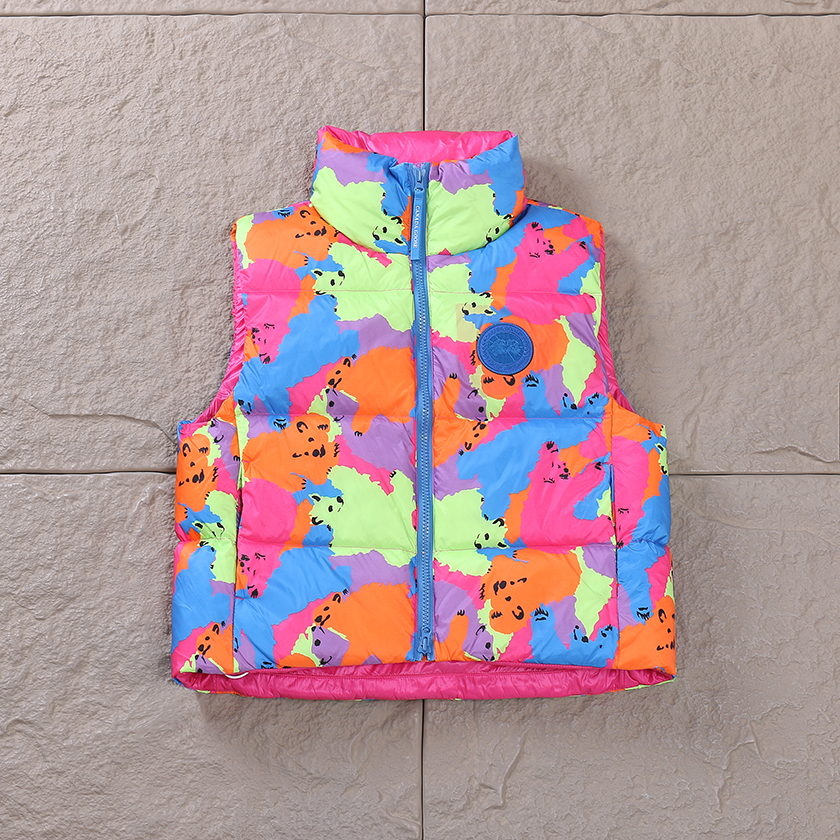 THE NORTH FACE DOWN VEST