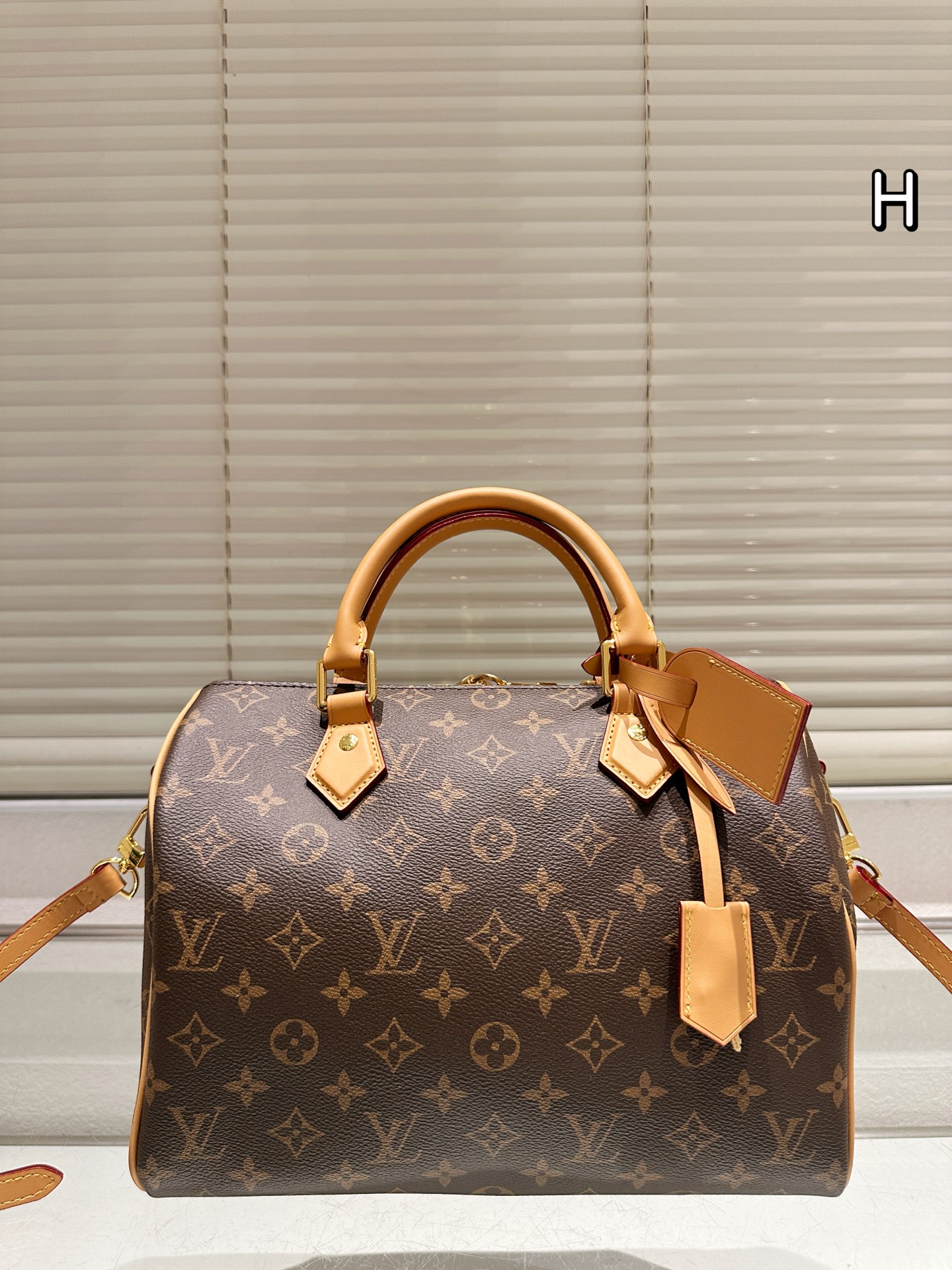 LV BAG
