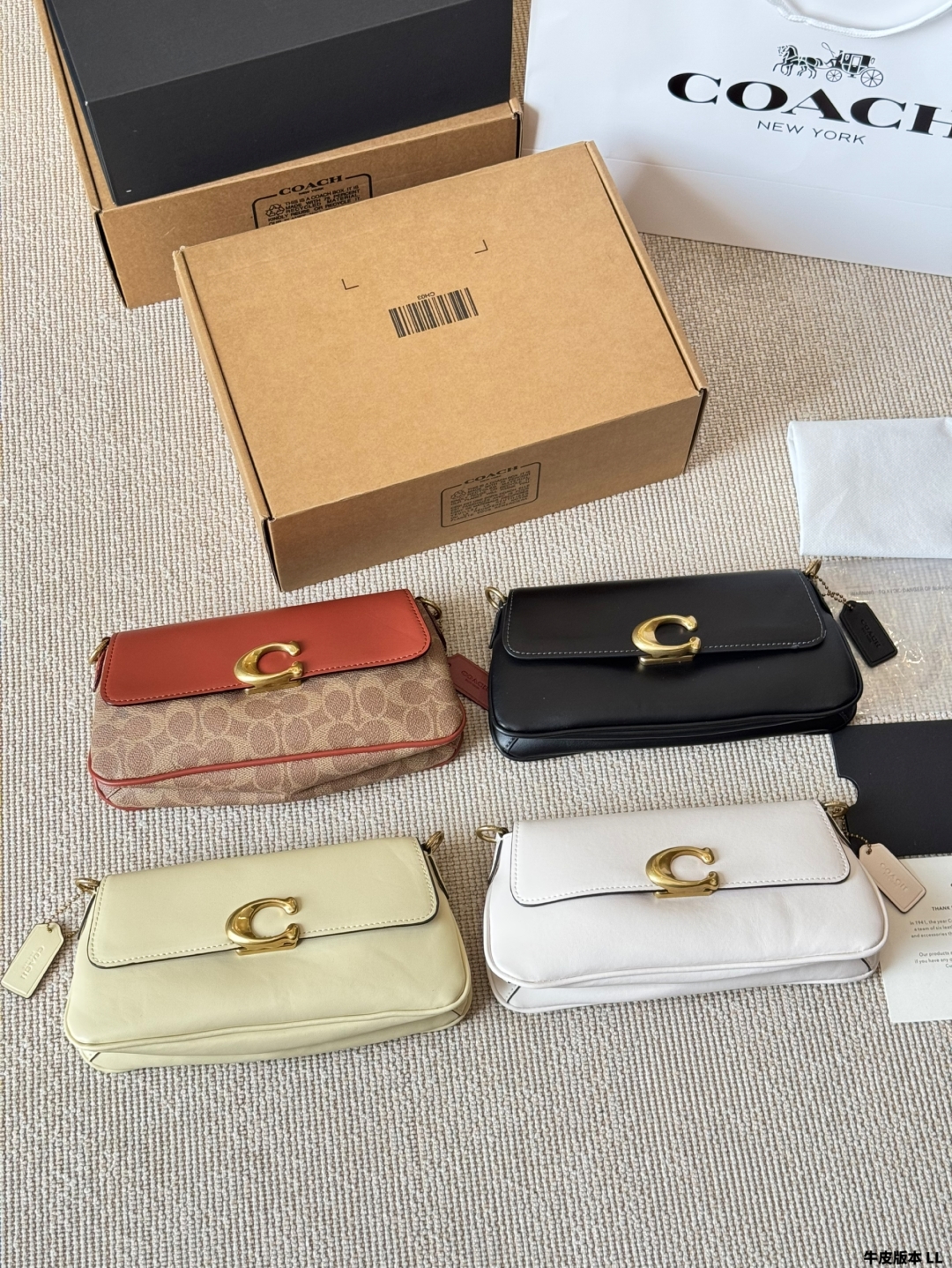 COACH BAG