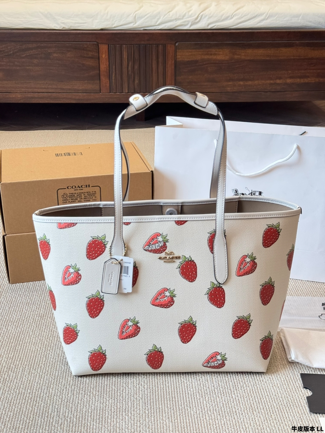 COACH BAG