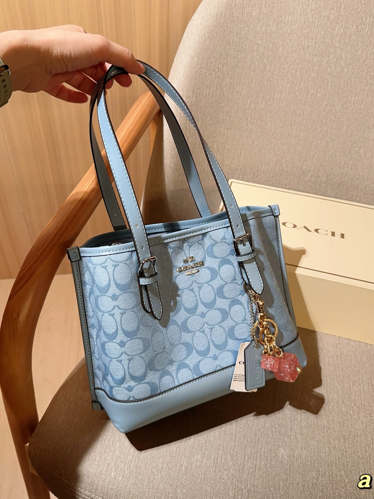 COACH BAG