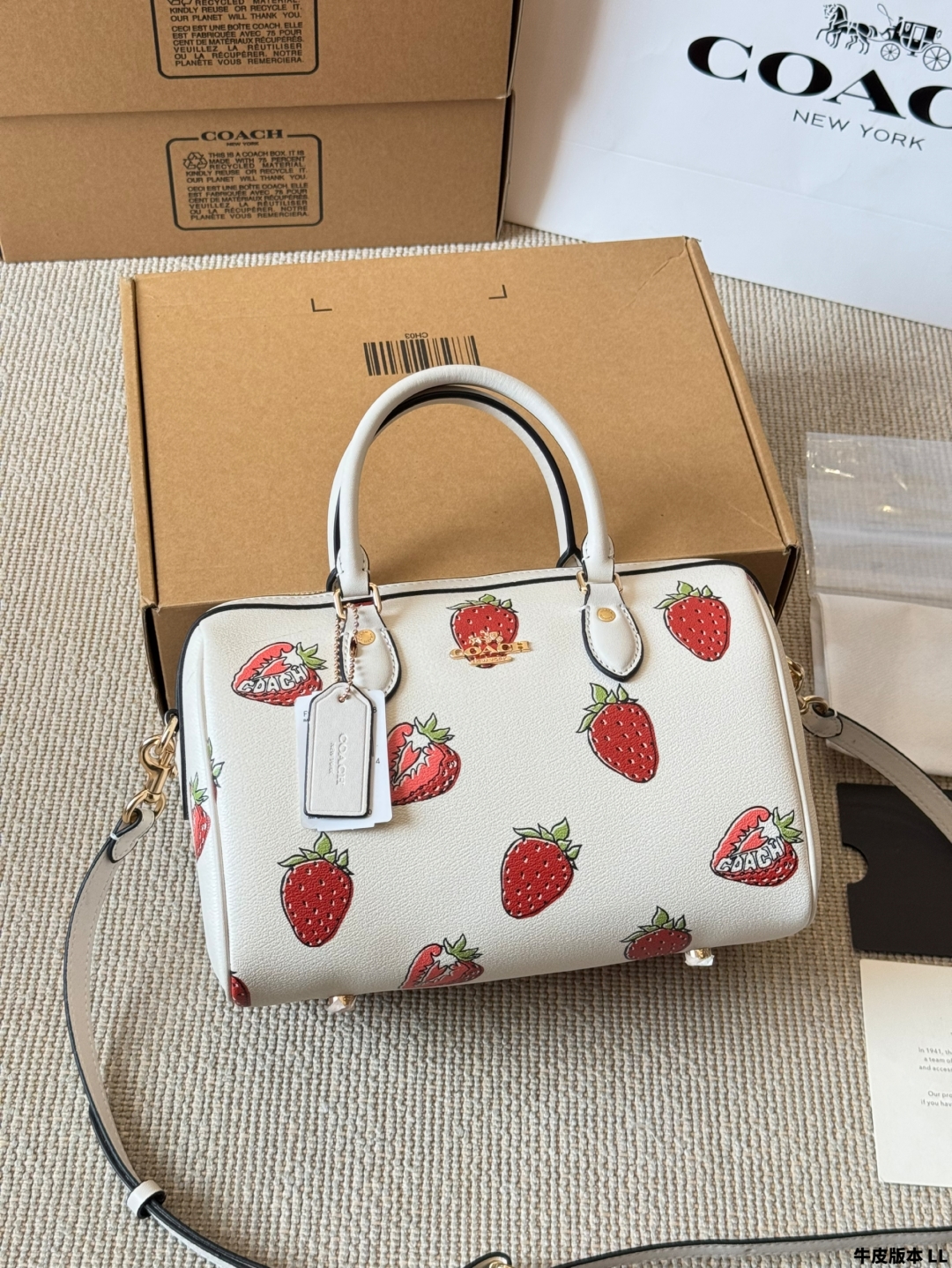 COACH BAG