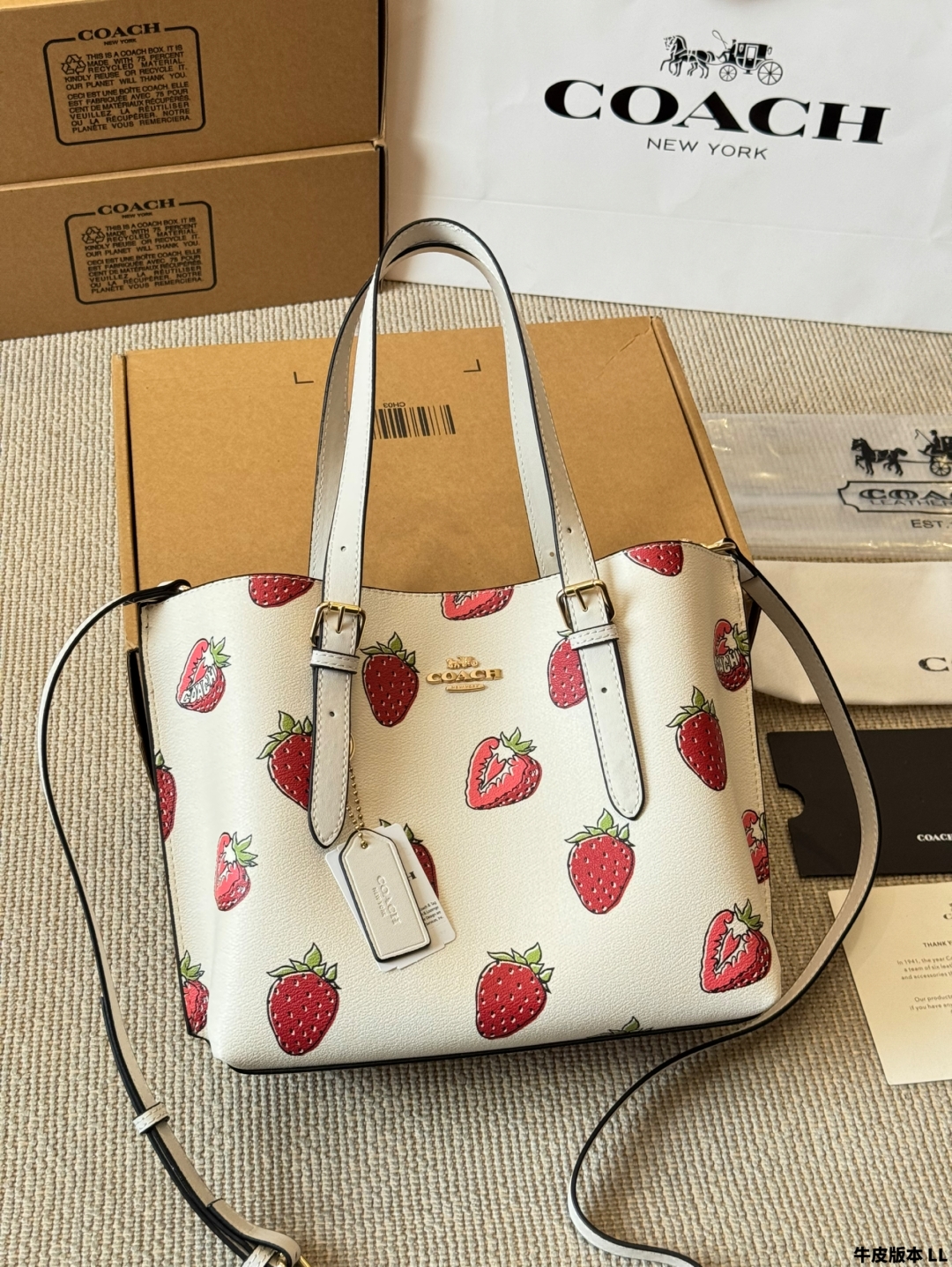 COACH BAG