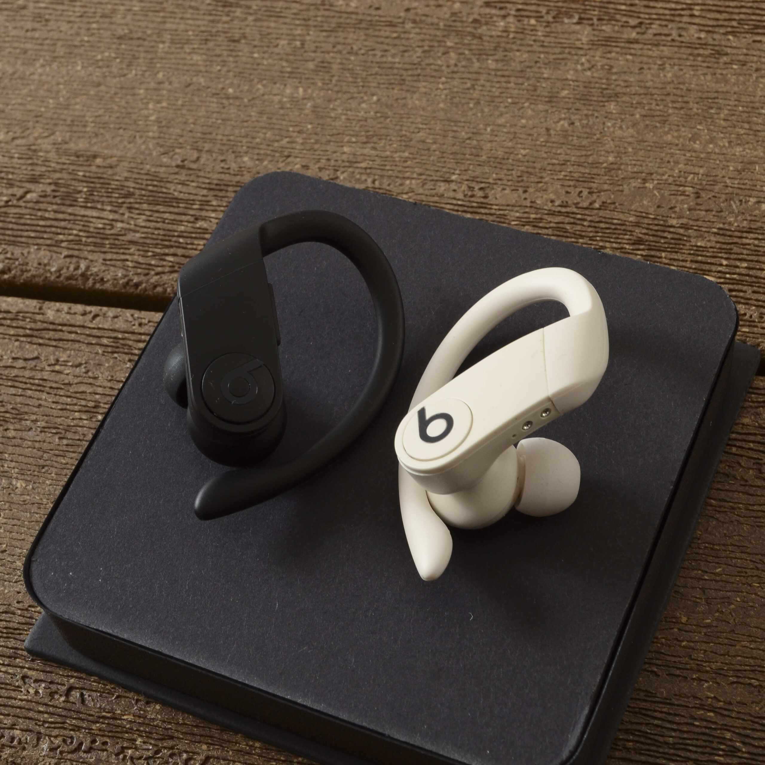 Beats Fit