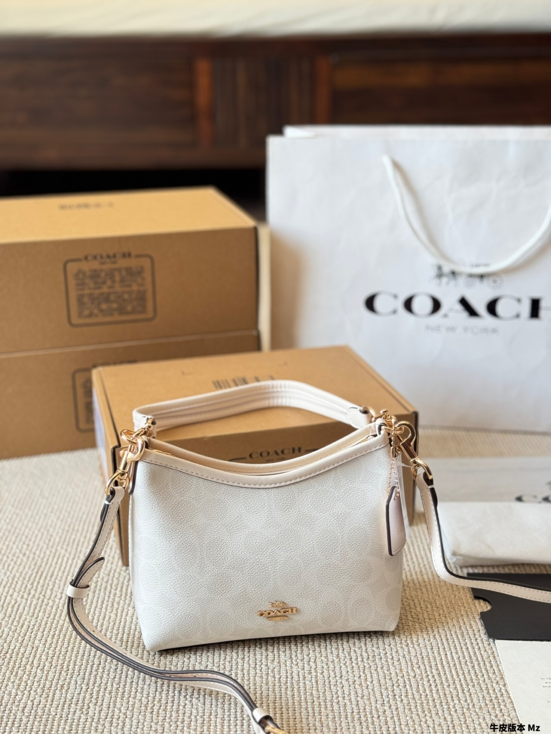 COACH BAG