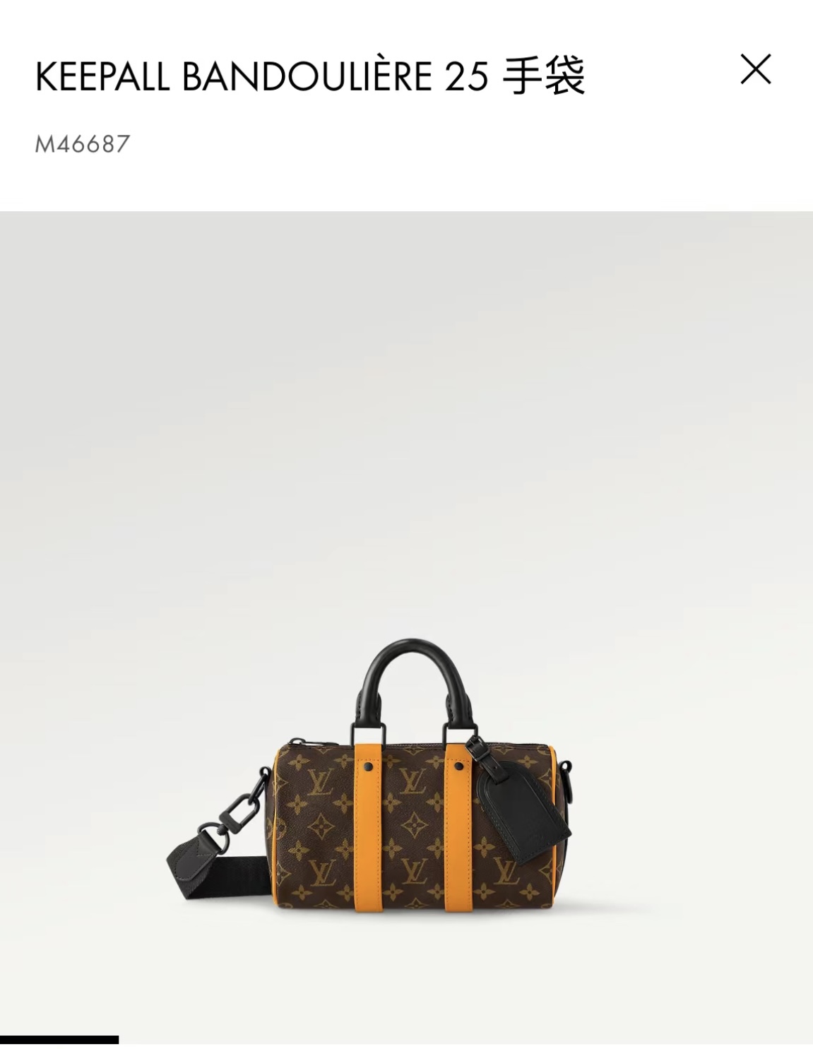 LV BAG