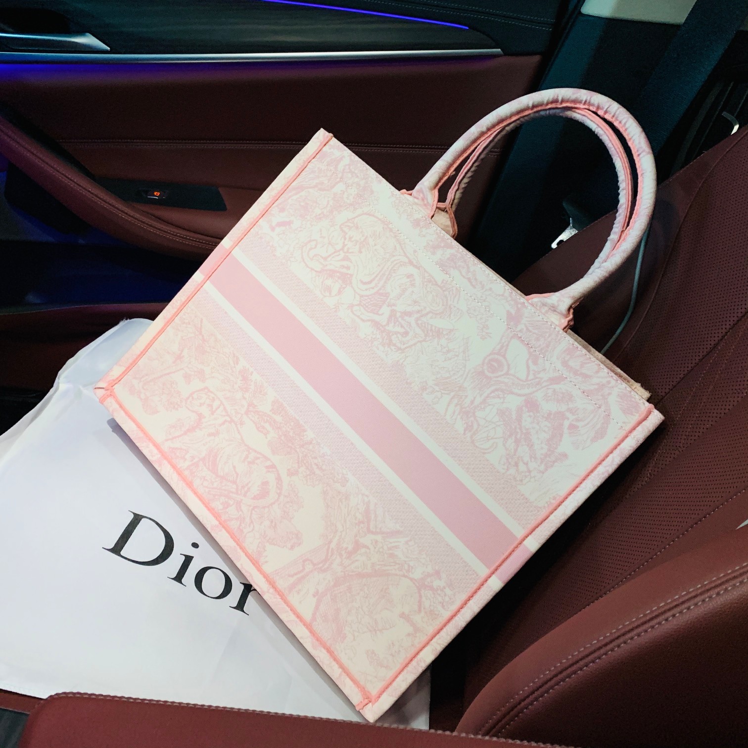 DIOR BAG