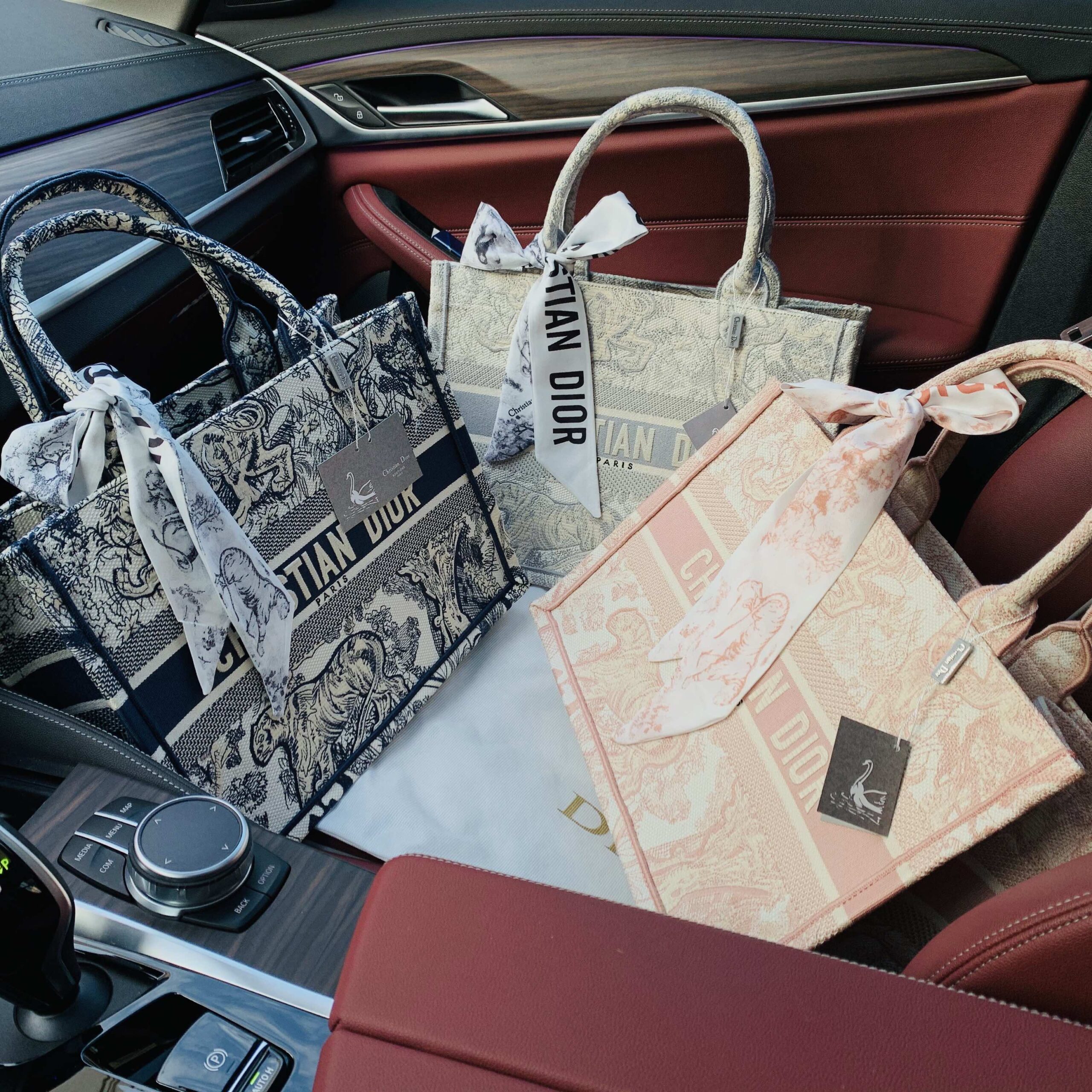 DIOR BAG