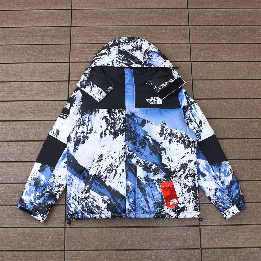 THE NORTH FACE DOWN JACKET