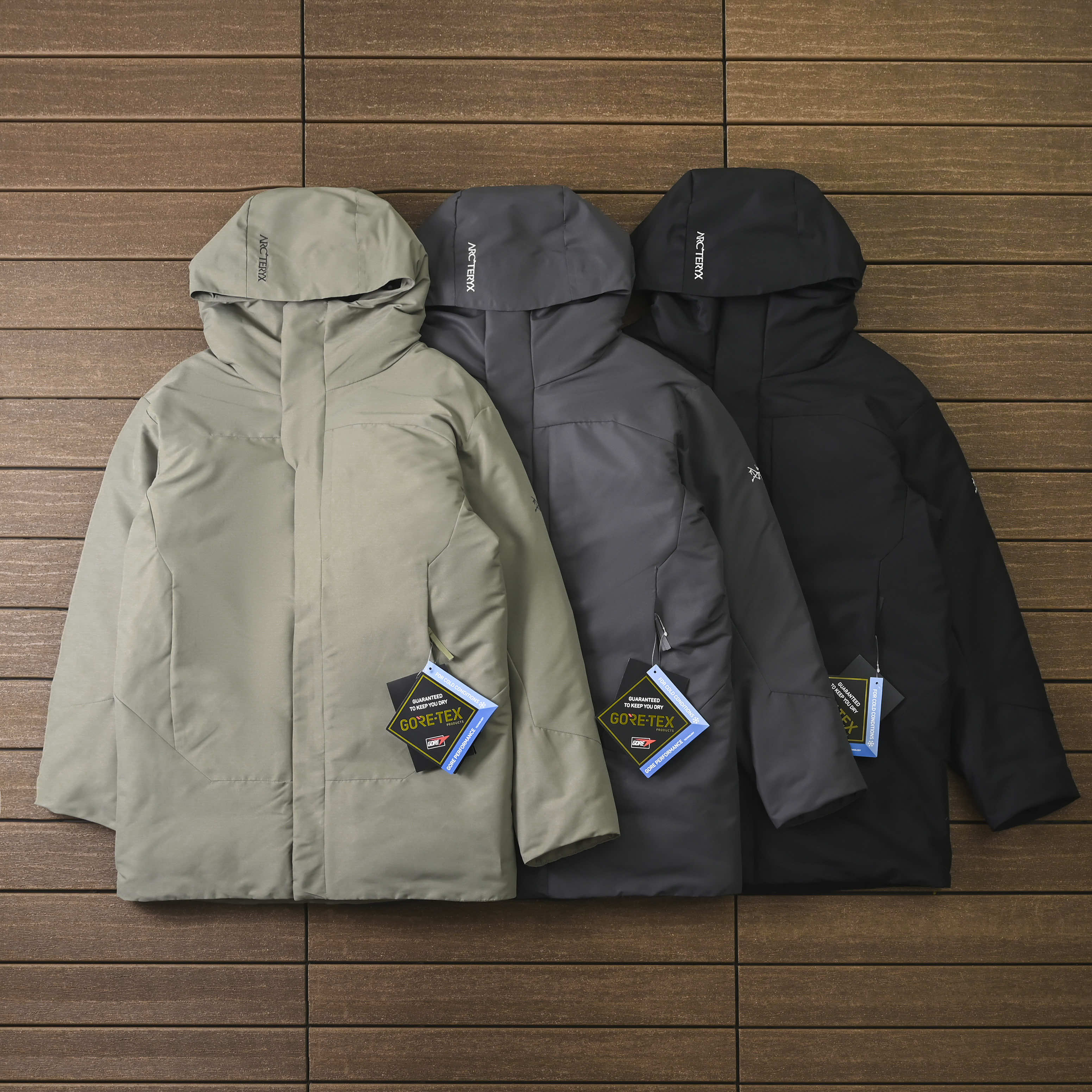 ARC'TERYX ENNDORPHIN ar Dow Jacket