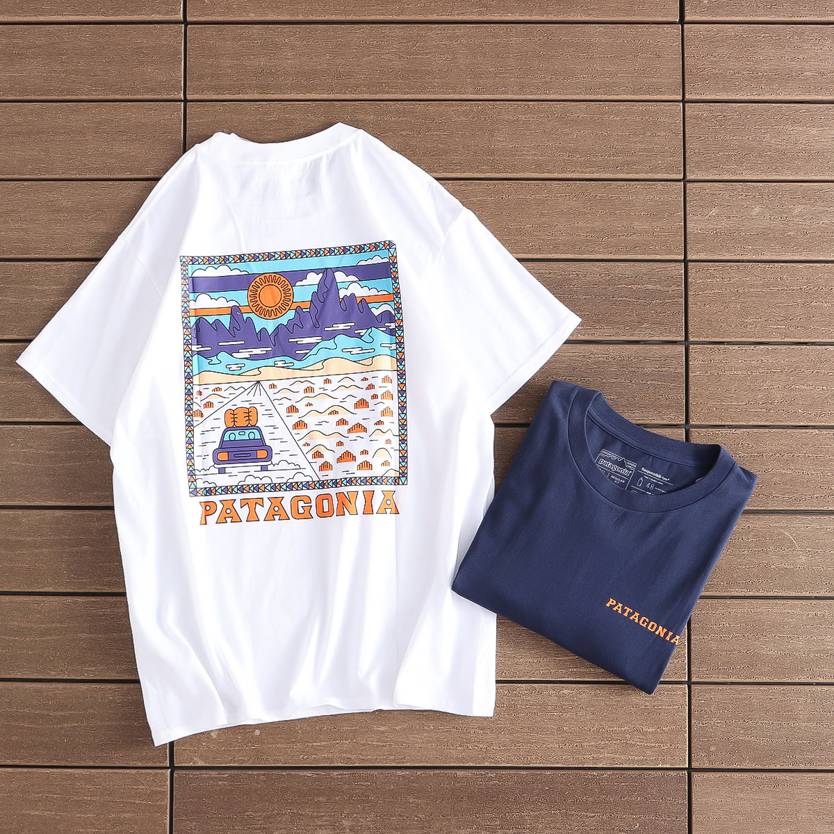 PATAGONIA T-SHIRT