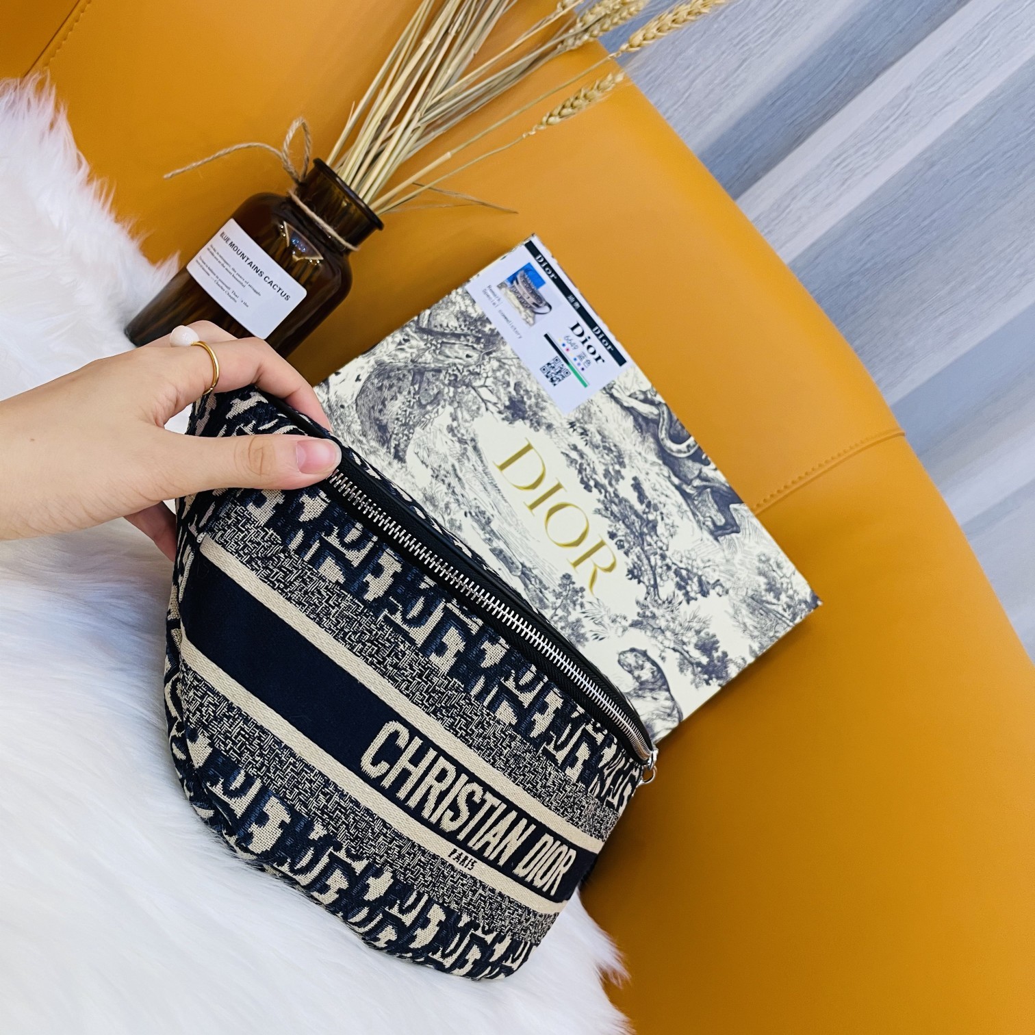DIOR BAG