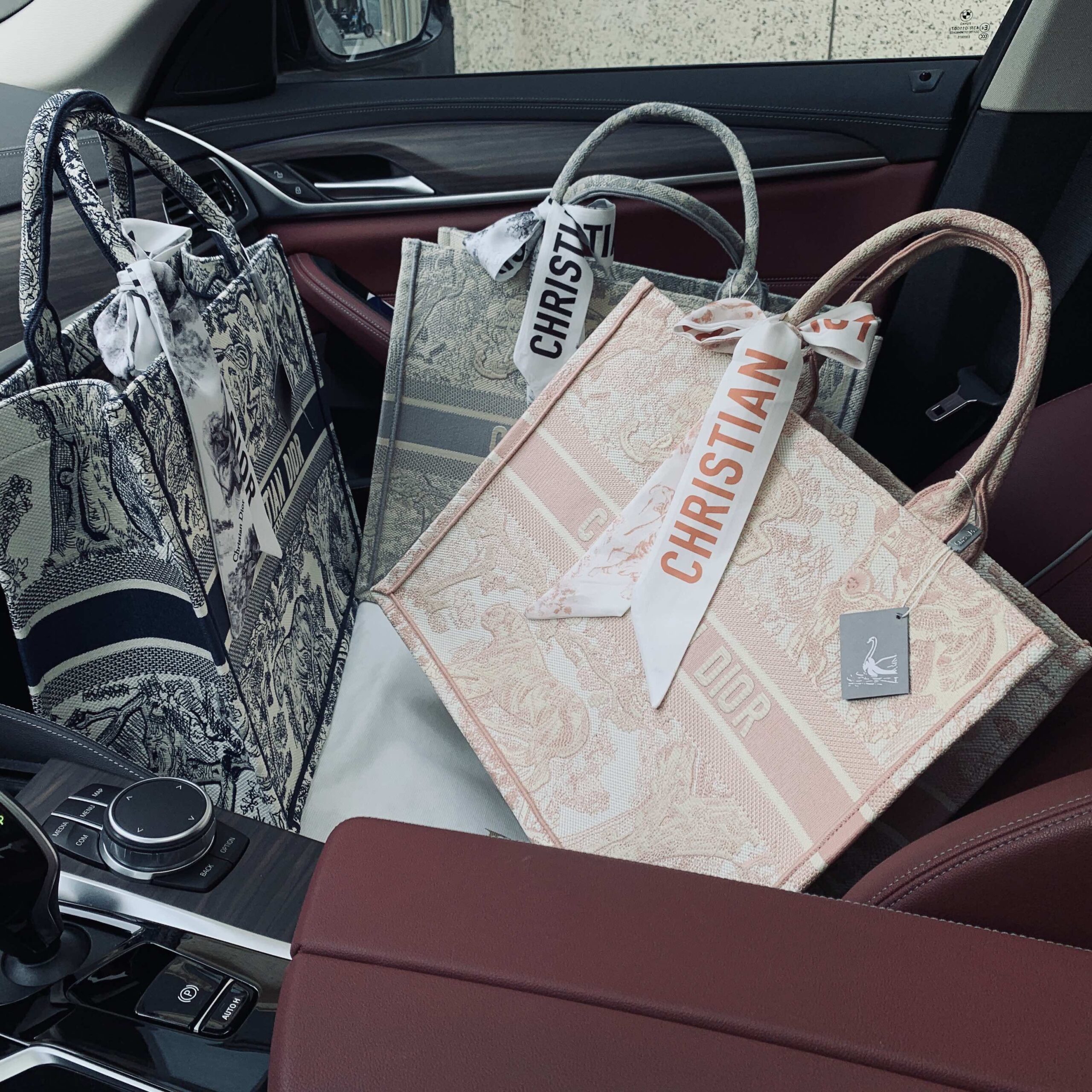 DIOR BAG