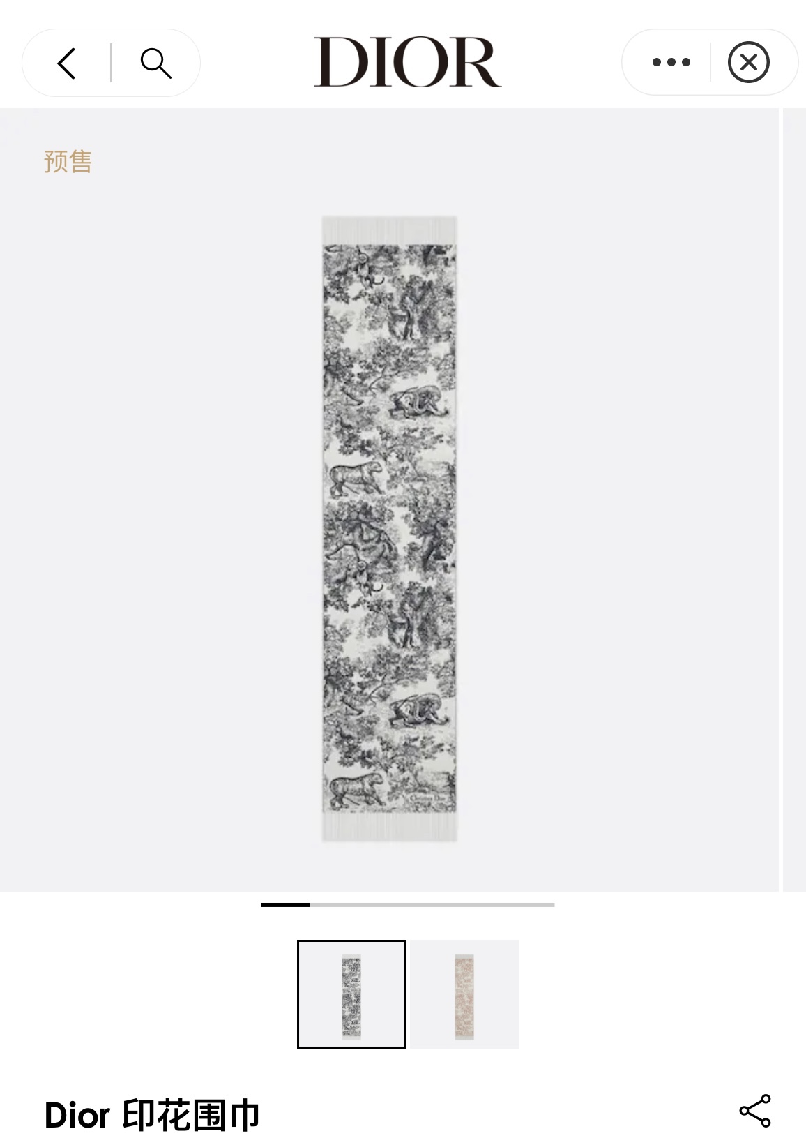 DIOR SCARF