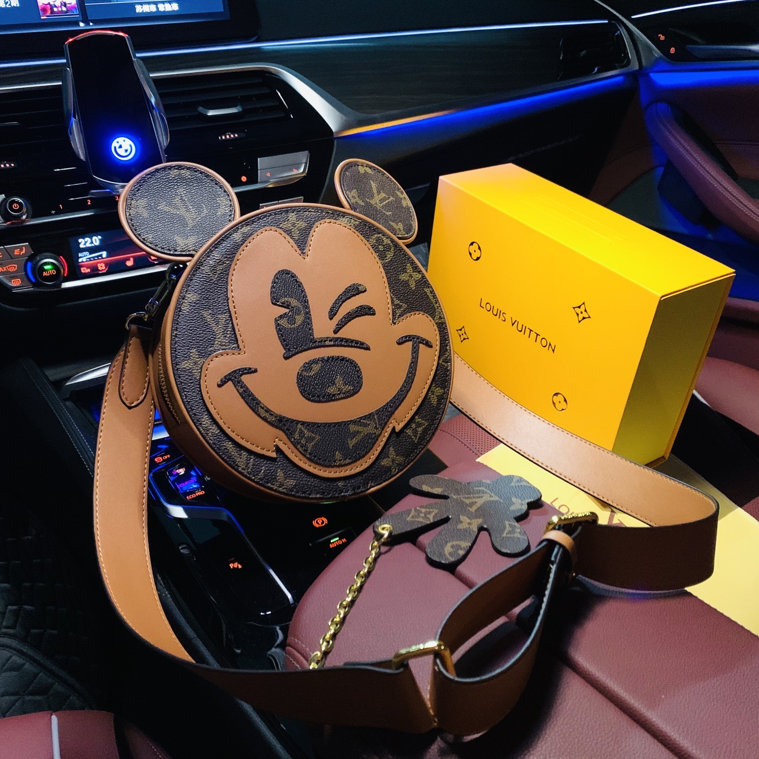LV BAG